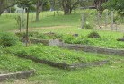Netherby QLDpermaculture-8.jpg; ?>